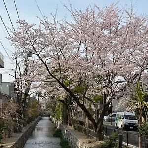 初音 Kyōto